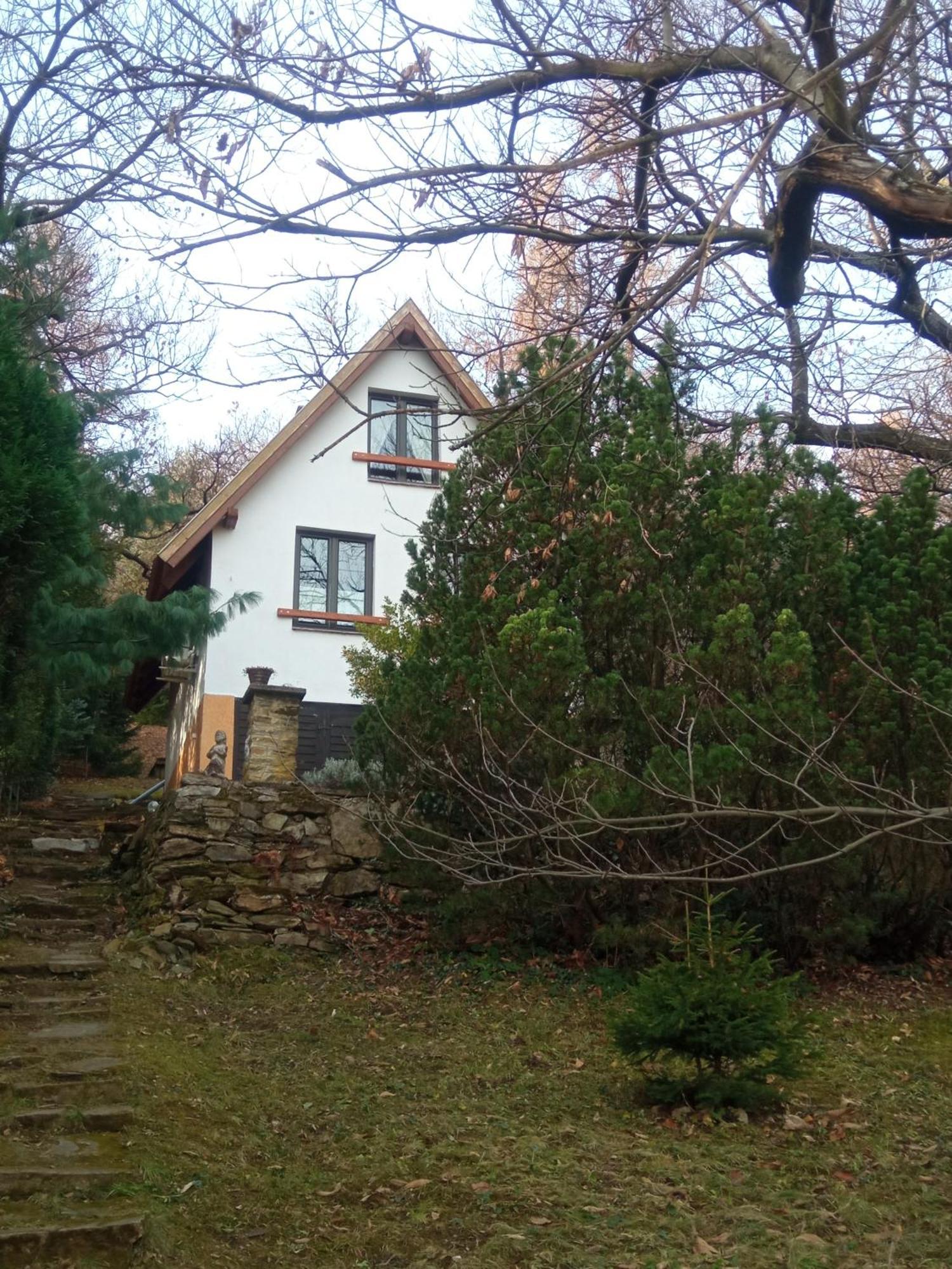 Villa Pele Vendeghaz Velem Exterior foto